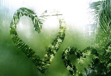 综述｜启德体育园点燃香港“盛事之都”新引擎.