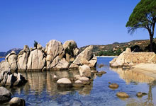 NG体育官网：逆天手感！东契奇左右两侧45°超级弧线球都是空心入网.